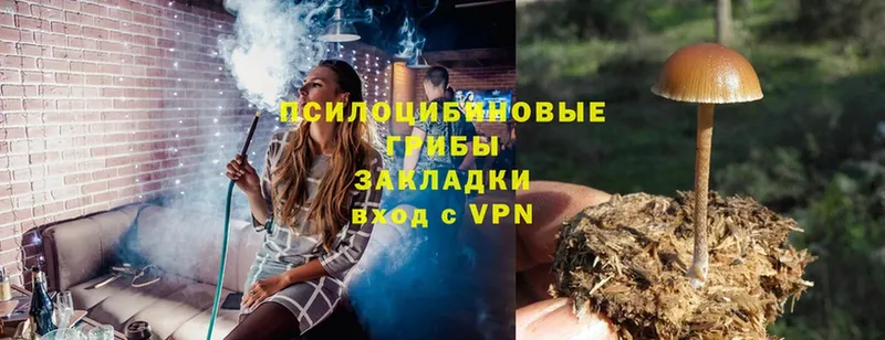 Псилоцибиновые грибы Psilocybe  blacksprut как войти  Азнакаево  где продают наркотики 